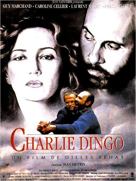 Charlie dingo